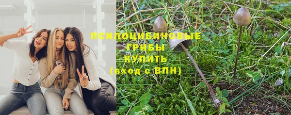 первитин Алексин